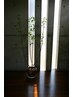 カラーリング＋トリートメント　￥12100