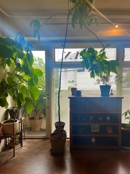 フィダン(FIDAN)の写真/店内は温かさを感じられるナチュラルな空間＊肌で感じる贅沢なサロンタイムをお過ごしください♪