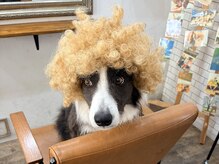 街の小さな美容室ビー(街の小さな美容室be.)