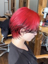 リード バイ ラグーン(LEAD by LAGOON)&nbsp;エンドカラーレッド☆ケアブリーチカラー