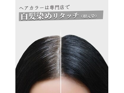 カラーイン 所沢店の写真
