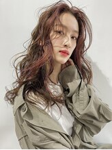 スティードトーキョー(Steed Tokyo)