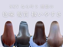 SKY式髪質改善が人生最高の艶髪体験をお届けします【福井/木田】
