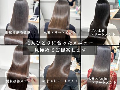 エルサ(Elsa)の写真