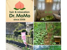 ドクターモモ(Dr.MOMO)の雰囲気(森をイメージした隠れ屋的サロン あなたの髪と心を癒します)