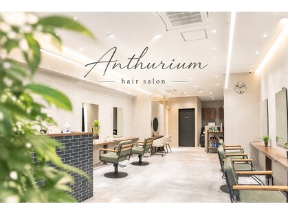 アンスリウム 吹田(Anthurium)の写真