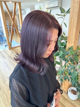 オアシス(oasis) ダブルカラーパープルカラー