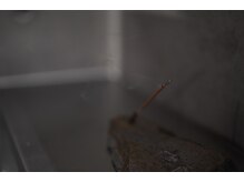 匂いのこだわり＿【副交感神経が優位になる“なんだかいい香り】