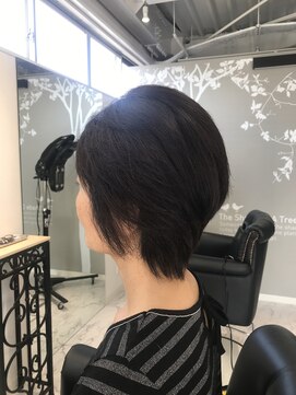 アンベリール(Embellir) ショートレイヤー