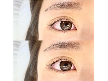 エフエックス(FX)の写真