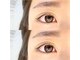 エフエックス(FX)の写真
