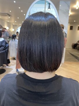 アンフィ 矢向(Anphi) 6-69 ミニボブ