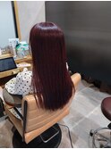 ボルドールビー☆
