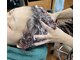 ヘアーサロン シェア(HAIR SALON SHARE)の写真