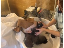 イイン(iin)の雰囲気(頭浸浴・眼浸浴で地肌改善と癒しを提供いたします。)