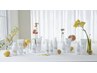 【20周年企画】リスティコシャンプー&トリートメント30％OFFキャンペーン♪
