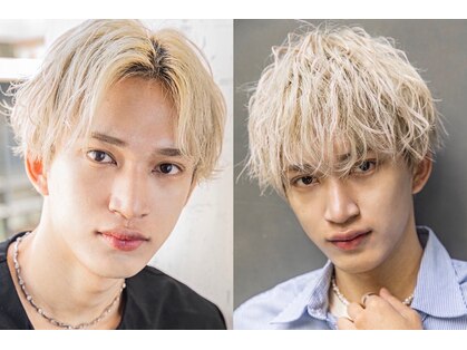 サングース(Sungoose)の写真