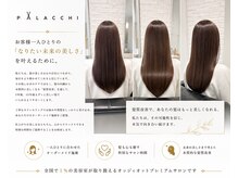 パラッチ 西宮店(Palacchi)