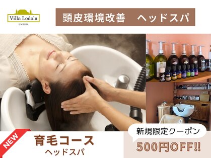 アネハ(ANEHA)の写真