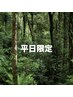 【学割U２４】平日限定　カット　3800円