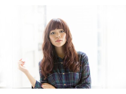 オブラート(Oblato)の写真