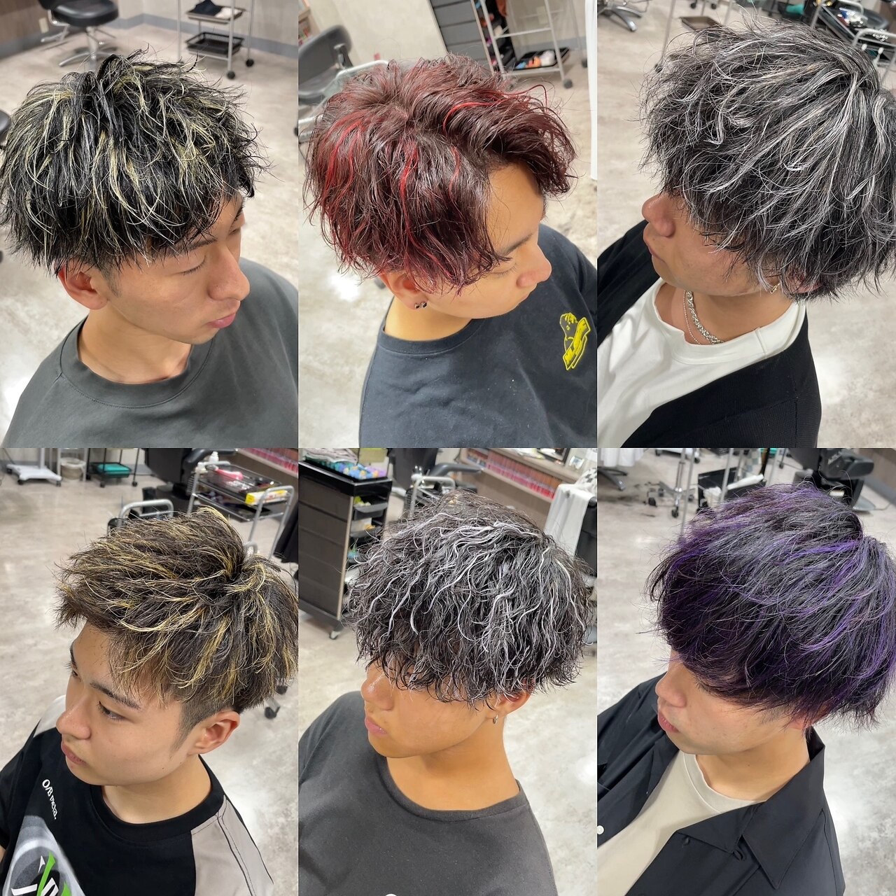 ジェイドガール大株 P. willinckii 'Jade Girl' spore grown こちらの立派な株を ヤフオク