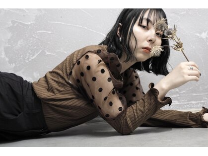 クラシカ(classika)の写真
