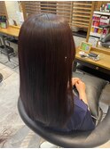 ダークブラウン/うる艶セミロング