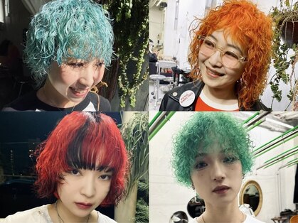 フィン(fin,)の写真