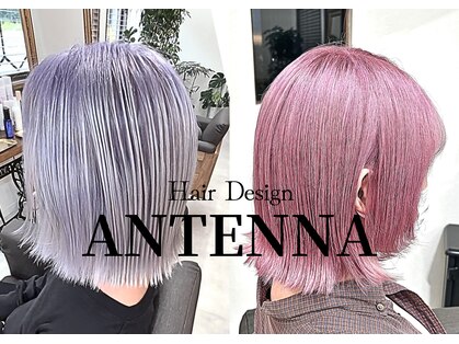 アンテナ(ANTENNA)の写真