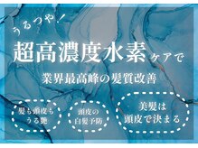 【全国で1%】ノンダメージ正規認定店!真の髪質改善が叶う!本物の艶髪を手に入れたい方へ