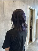 ブルーラベンダー