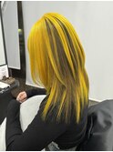 セクションカラー