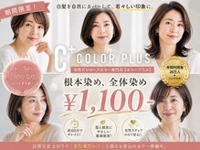 カラープラス 唐人町店