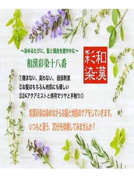 ベルデイズ 和漢彩染