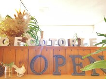 サロンド シェル フー コトリー