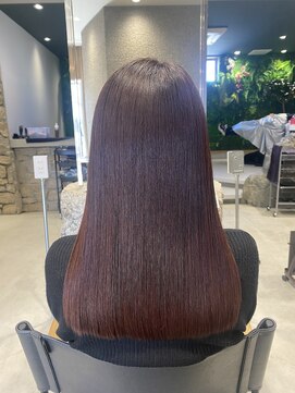 ポラリス(Polaris) グレージュ/ベージュ/ピンクベージュ/髪質改善