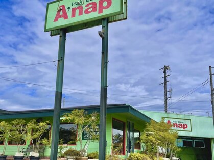 ヘアーベース アナップ Hair Base A'napの写真