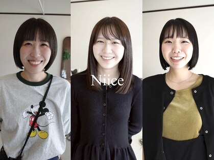 ニイス(Niice)の写真