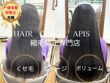 アピス(APIS)