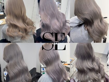 センス(SENSE.)の写真