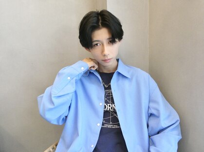 フィンチ(Finch)の写真