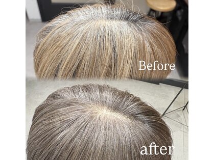 トウ(tou.)の写真