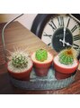 セシル 高津店(SECIL)&nbsp;サボテン・観葉植物が大好きです！