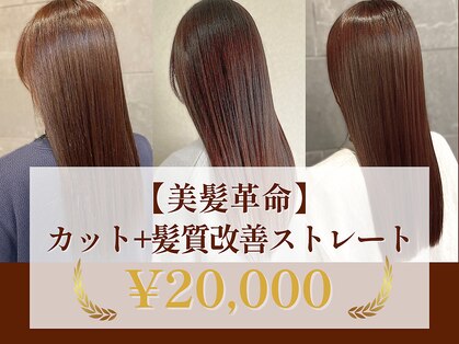 ディスコネクト(DISCO-N-NECT)の写真