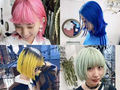 フィン(fin,)の写真
