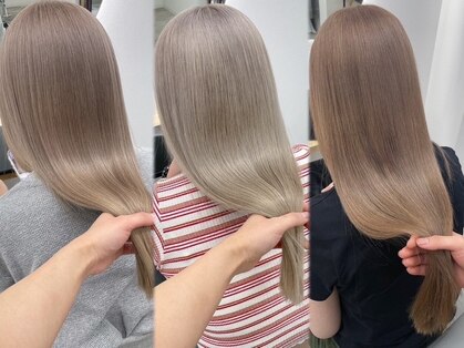 シラフ(SHIRAF)の写真