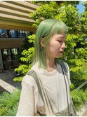 ライムグリーン＊グリーンカラー