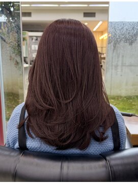 シュウ(shu) ボルドーカラー/レイヤー