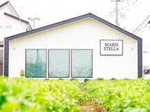 マリスステラ (MARIS STELLA)